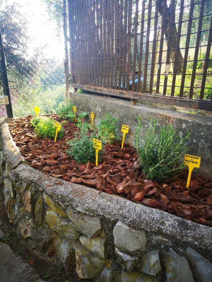 Il Leudo Διαμέρισμα Lavagna Εξωτερικό φωτογραφία